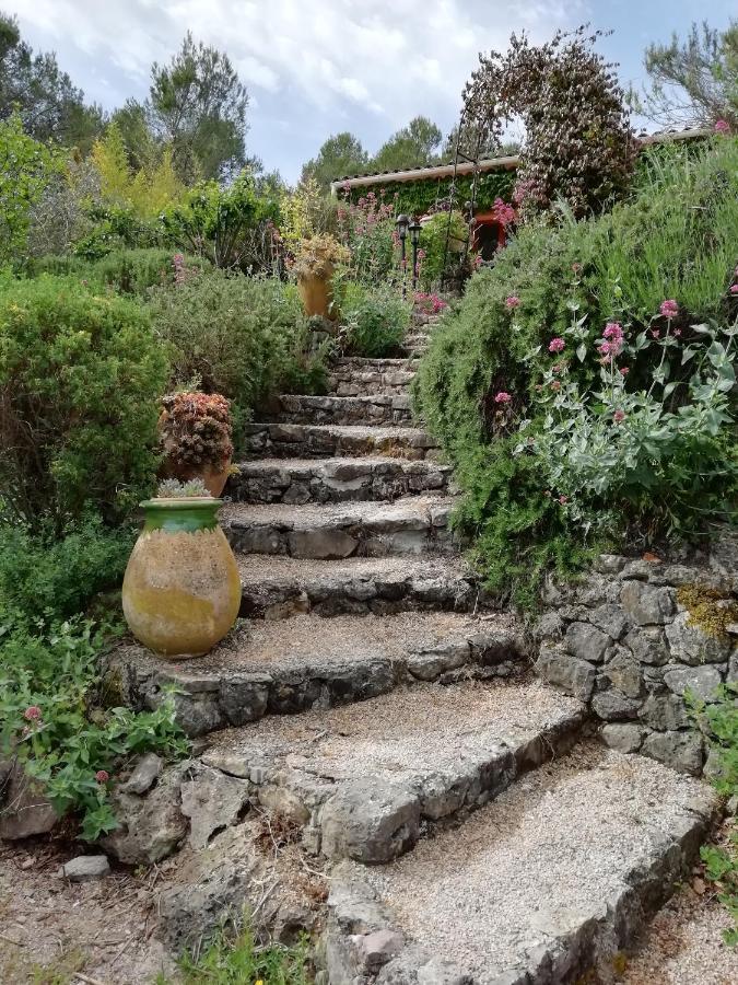 Chambre D'Hote Le Mas Des Romarins Les Arcs-sur-Argens Eksteriør bilde