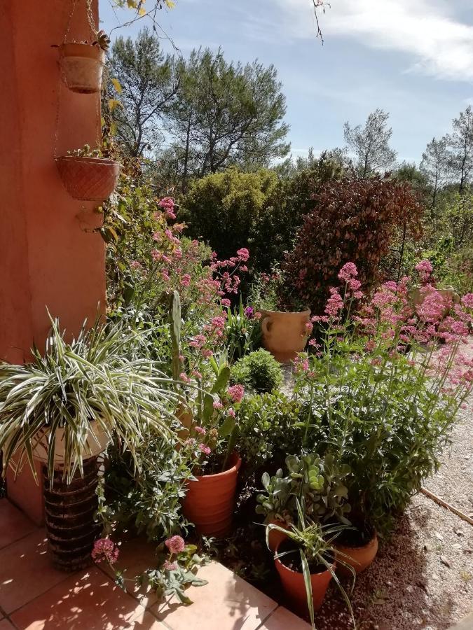 Chambre D'Hote Le Mas Des Romarins Les Arcs-sur-Argens Eksteriør bilde