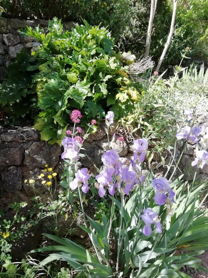 Chambre D'Hote Le Mas Des Romarins Les Arcs-sur-Argens Eksteriør bilde